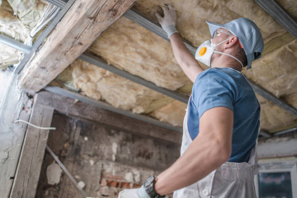 Best DIY Insulation Kits and Guidance in Munster, IN
