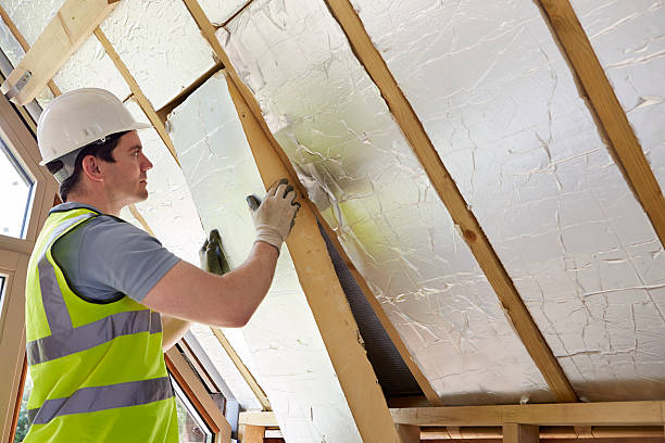 Best Insulation Maintenance and Repair in Munster, IN