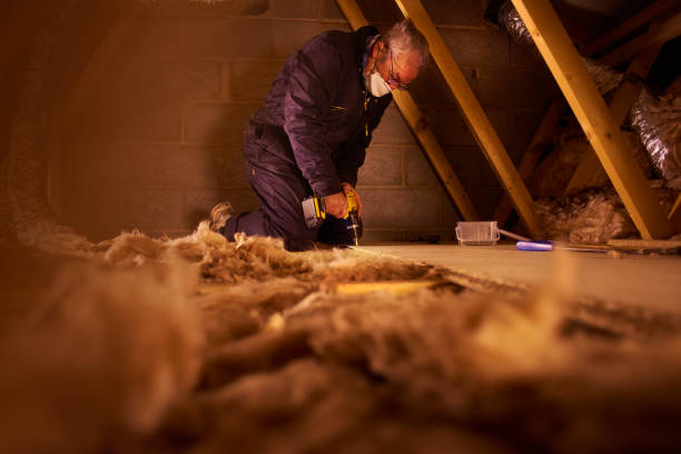 Best Geographic-Specific Insulation Services in Munster, IN