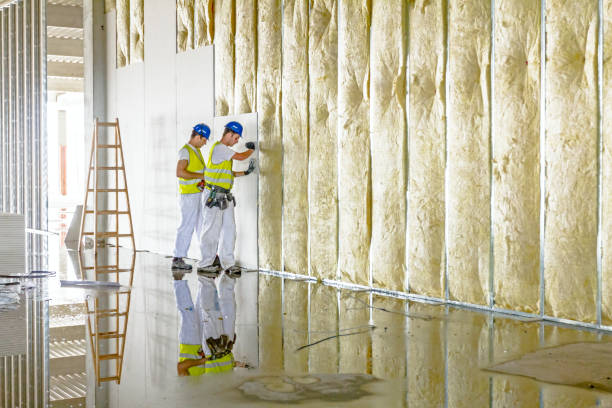 Best Eco-Friendly Insulation in Munster, IN